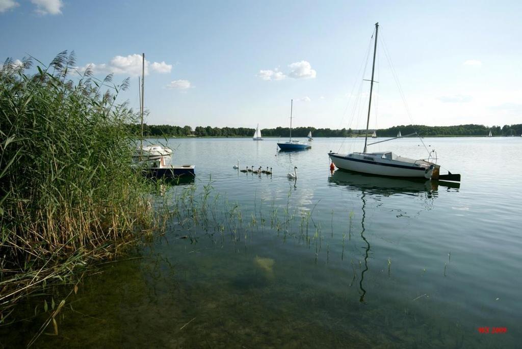 Noclegi Pod Modrzewiem Powidz (Slupca) Exterior foto